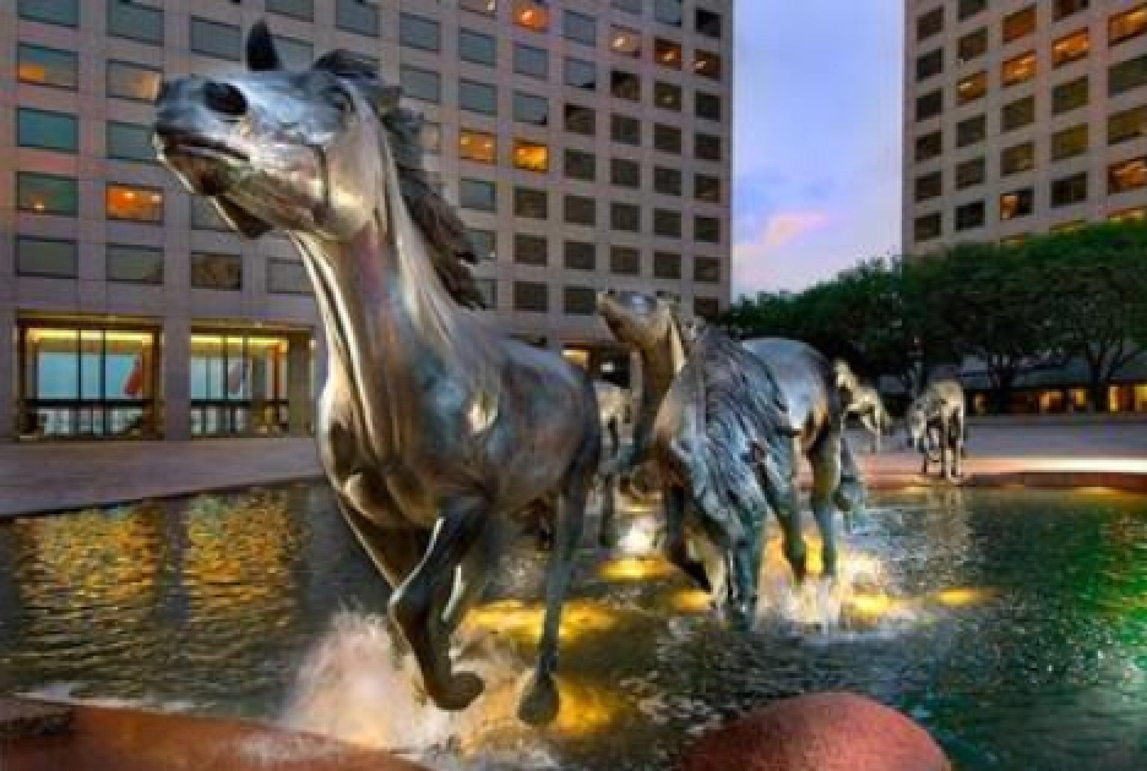 Sonesta Simply Suites Dallas Las Colinas Irving Ngoại thất bức ảnh